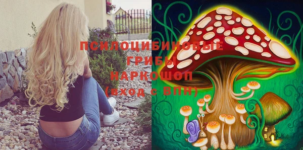спиды Абаза