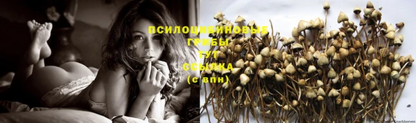 спиды Абаза