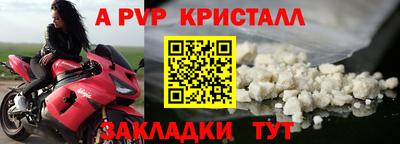прущие грибы Новодвинск