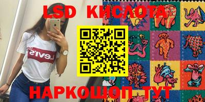 прущие грибы Новодвинск