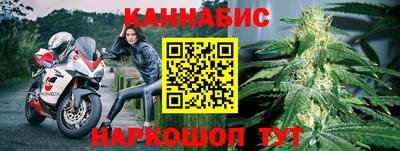 прущие грибы Новодвинск