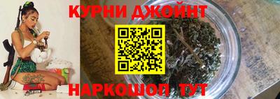 прущие грибы Новодвинск