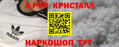 прущие грибы Новодвинск