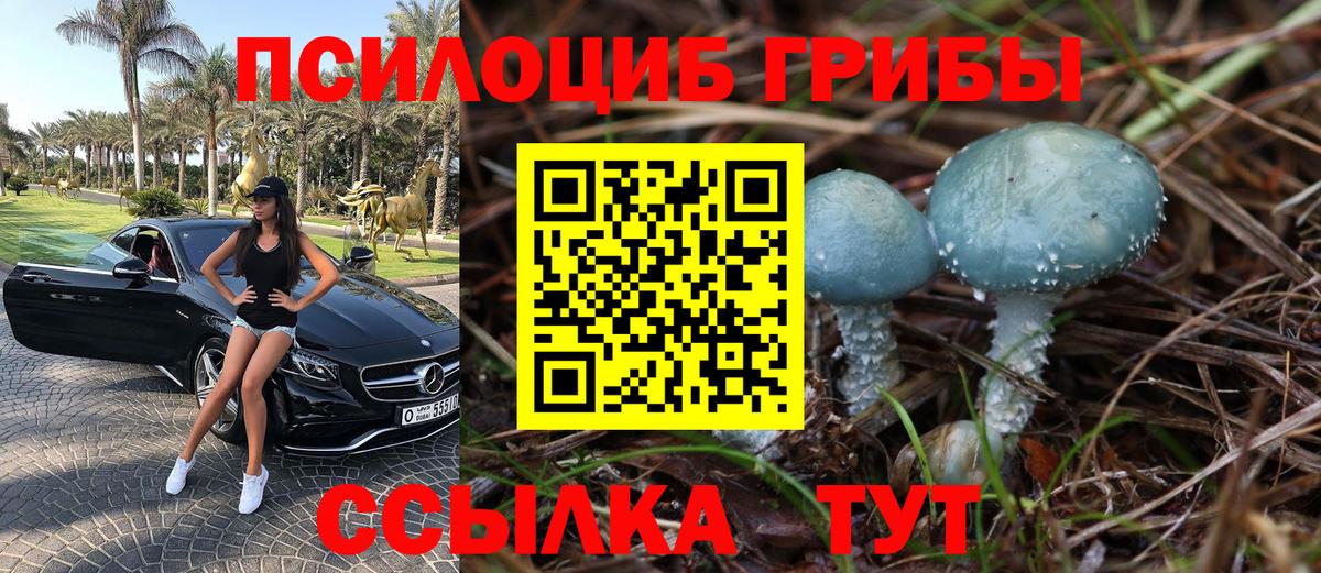 Галлюциногенные грибы GOLDEN TEACHER Благовещенск