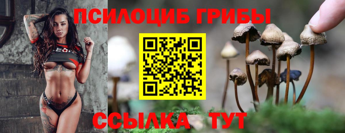 Галлюциногенные грибы Psilocybe  Вход с VPN  Благовещенск 